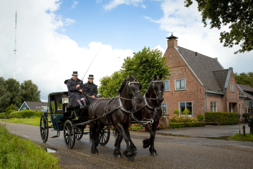 Trouwjubileum Huwelijksfeest